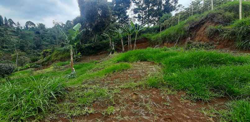 dijual tanah jalan barunagri