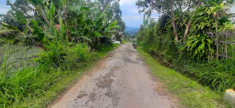 dijual tanah jalan barunagri