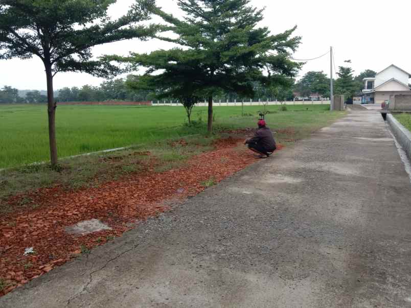 dijual tanah jalan gunung sari desa