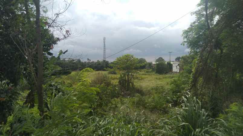 dijual tanah jalan lingkar tanjungpura