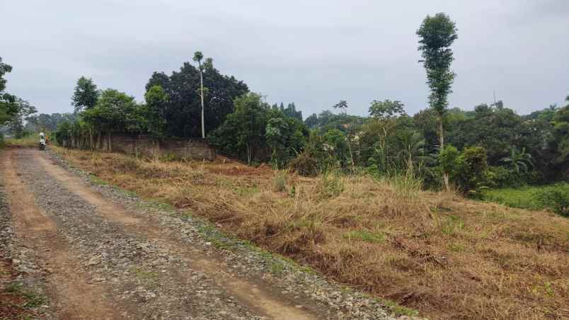 dijual tanah jalan raya bojong gede