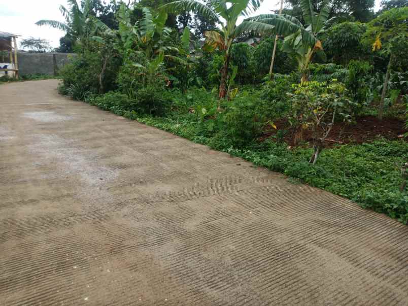 dijual tanah jalan raya bojong koneng