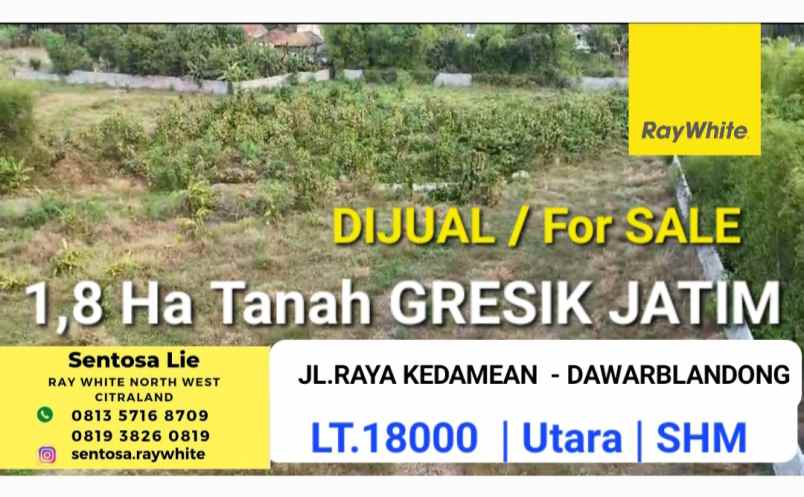 dijual tanah jalan raya kedamean