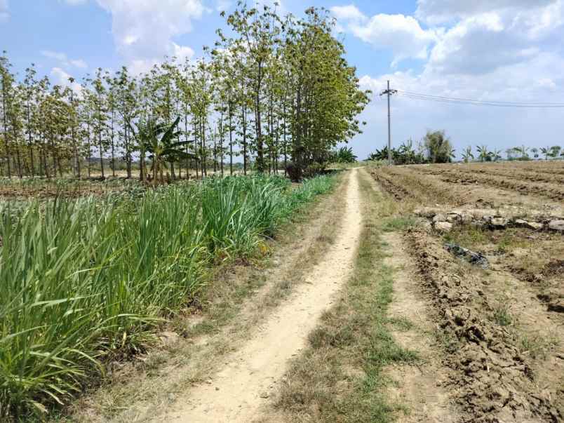 dijual tanah jalan slempit