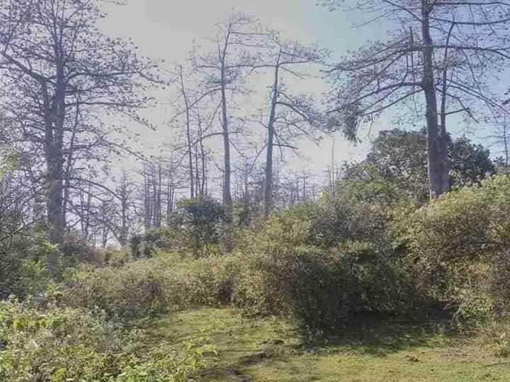 dijual tanah jimbaran kec kuta selatan