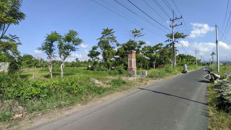 dijual tanah jl ikan layur kel sobo kec