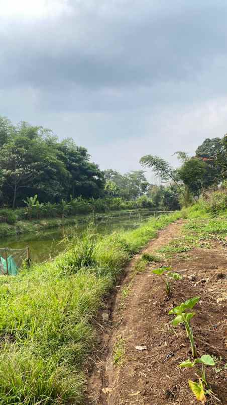 dijual tanah jl mekarsari manggahang