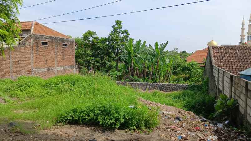 dijual tanah jl raya walisongo
