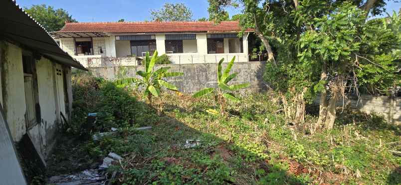dijual tanah jl semboja no 2 rt 3 rw 8