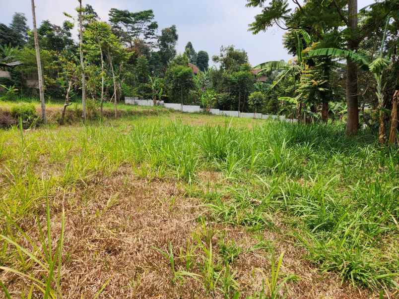 dijual tanah jl sukasirna pagerwangi