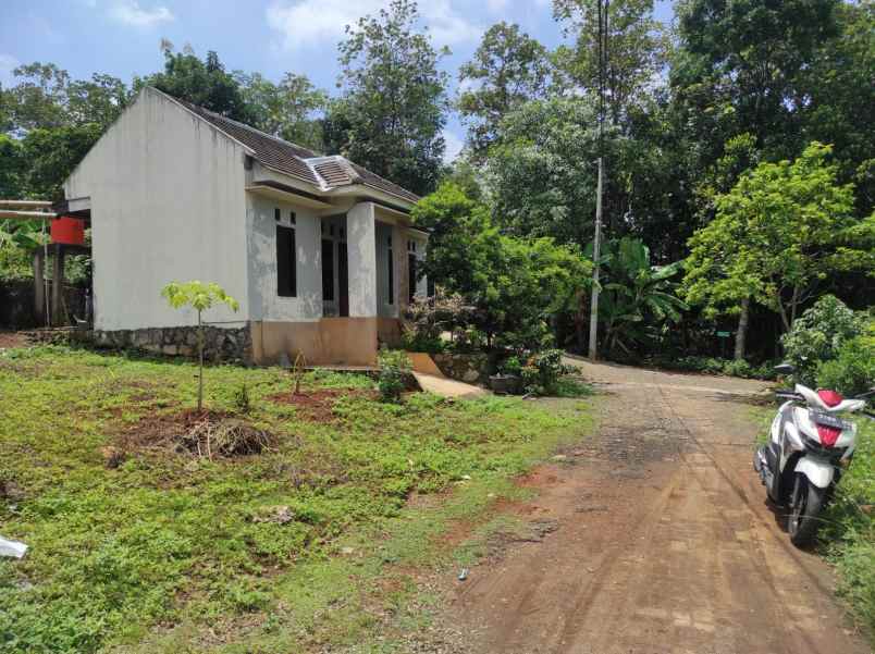 dijual tanah kalisegoro unes