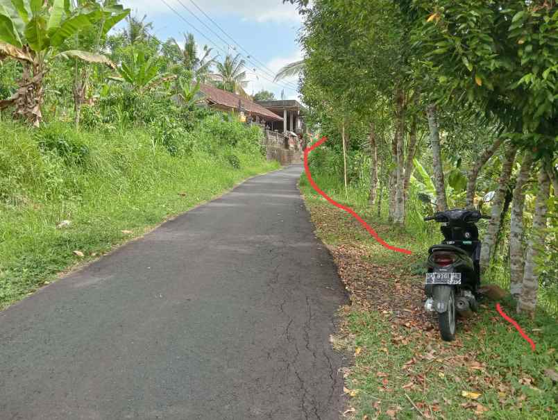 dijual tanah kebun los sungai murah tempat strategis