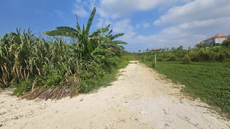 dijual tanah komersil lokasi nyanyi tabanan