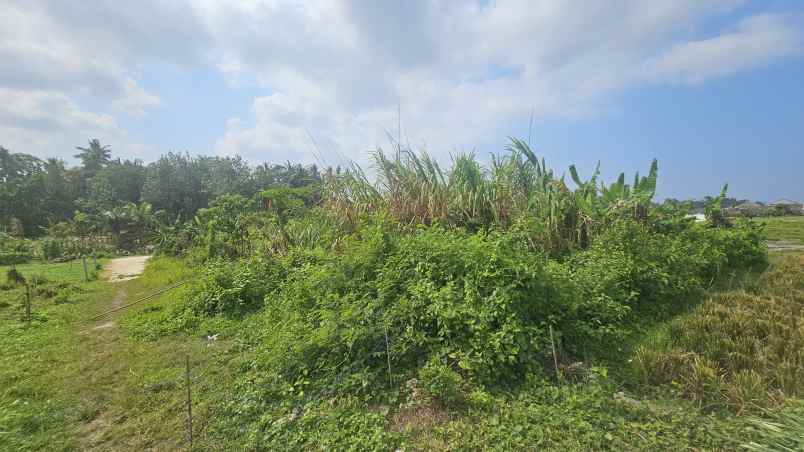 dijual tanah komersil lokasi nyanyi tabanan