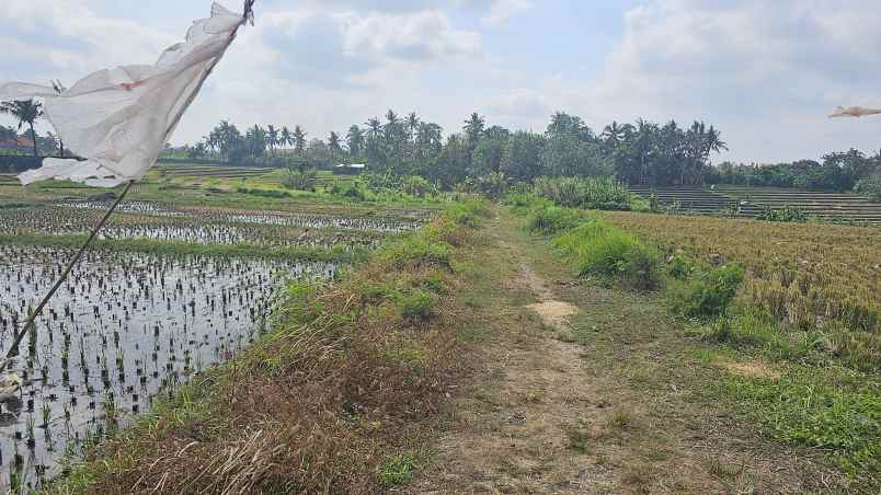 dijual tanah komersil lokasi nyanyi tabanan