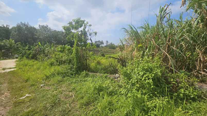 dijual tanah komersil lokasi nyanyi tabanan