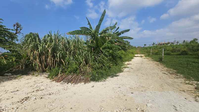 dijual tanah komersil lokasi nyanyi tabanan