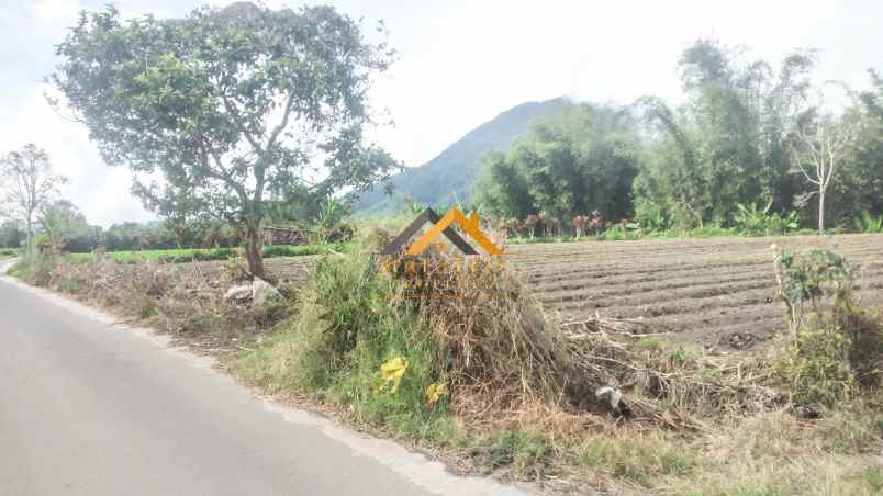 dijual tanah kosong tanjung barus berastagi