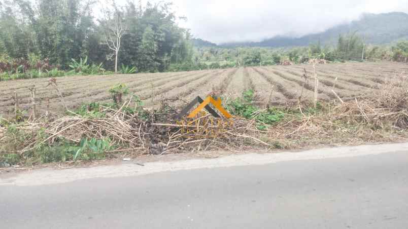 dijual tanah kosong tanjung barus berastagi