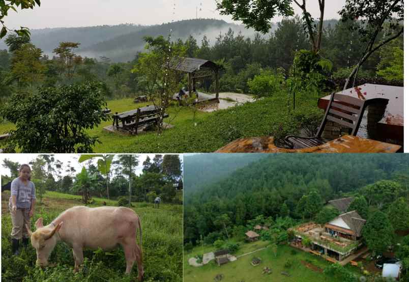 dijual tanah mandalamukti kec cikalong