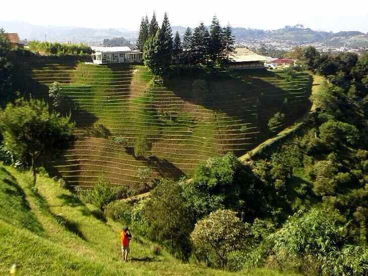dijual tanah manoko cikahuripan