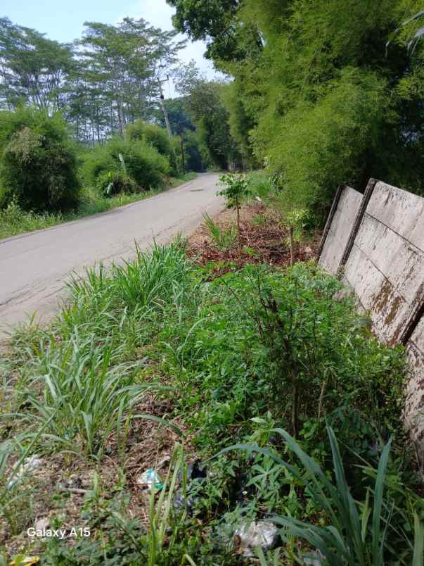 dijual tanah murah best view sukamakmur