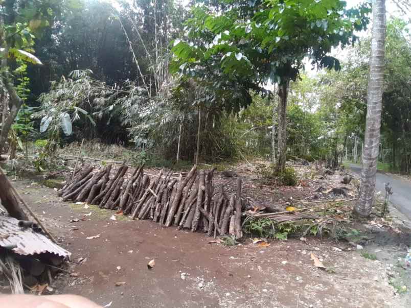 dijual tanah ngemplak kabupaten sleman