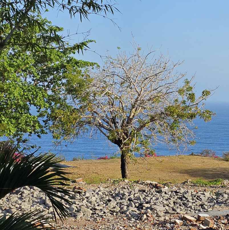 dijual tanah pantai pandawa