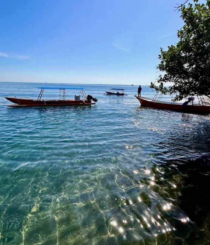 dijual tanah pasir putih situbondo