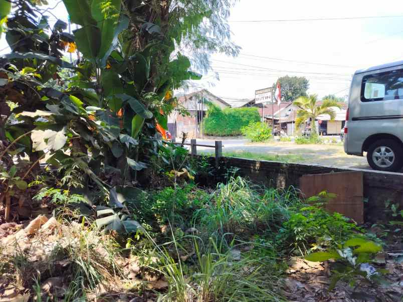 dijual tanah pendowoharjo