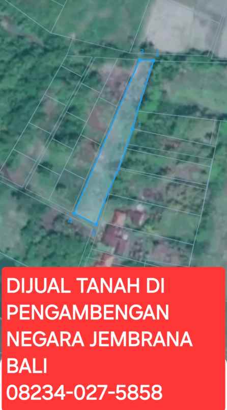 dijual tanah pengambengan negara