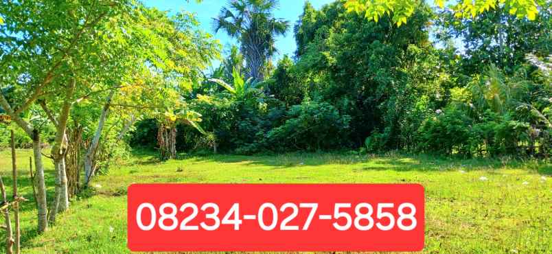 dijual tanah pengambengan negara