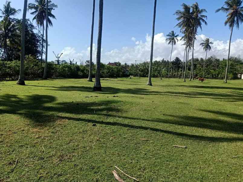 dijual tanah perancak jembrana bali