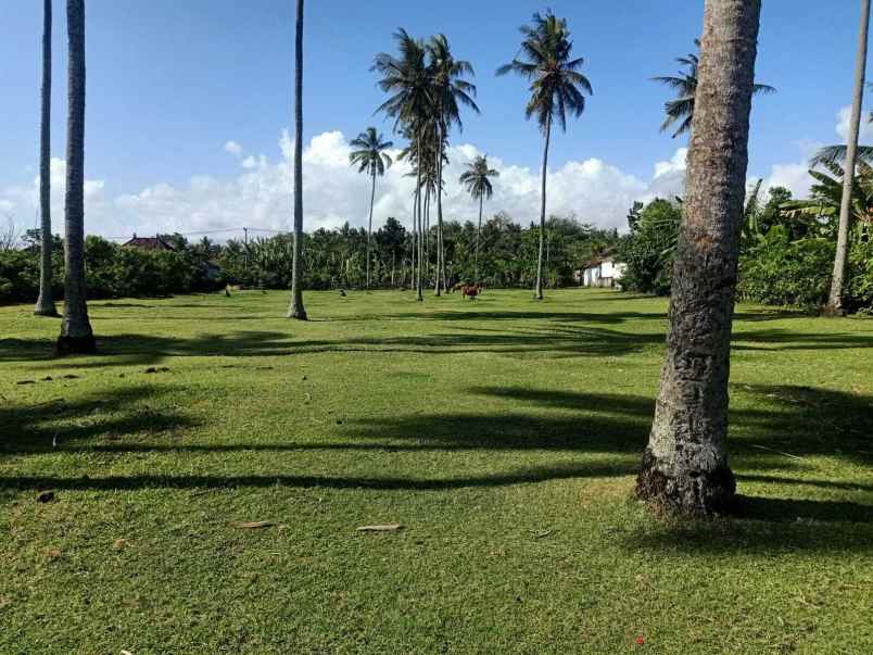 dijual tanah perancak jembrana bali