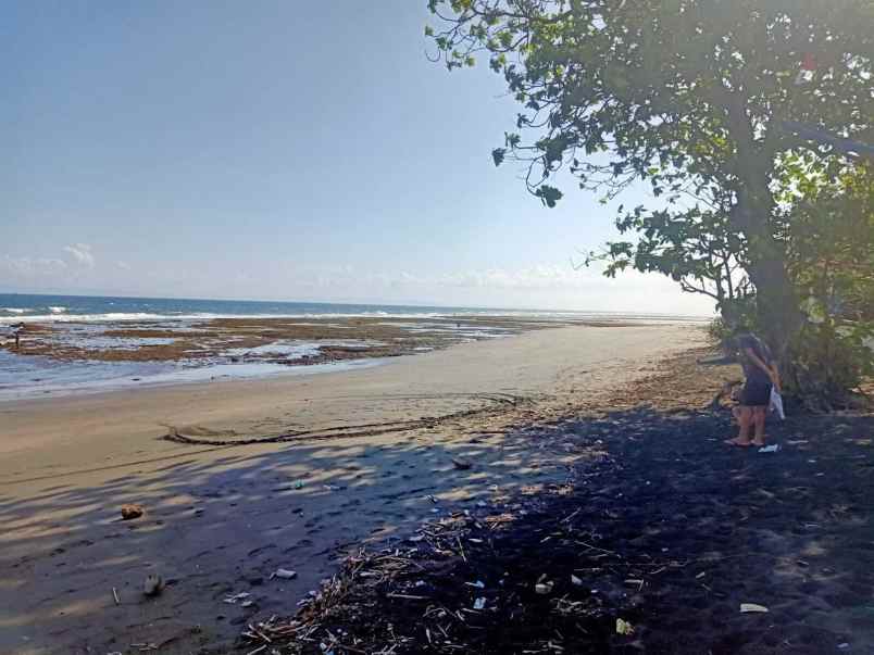 dijual tanah perancak jembrana bali