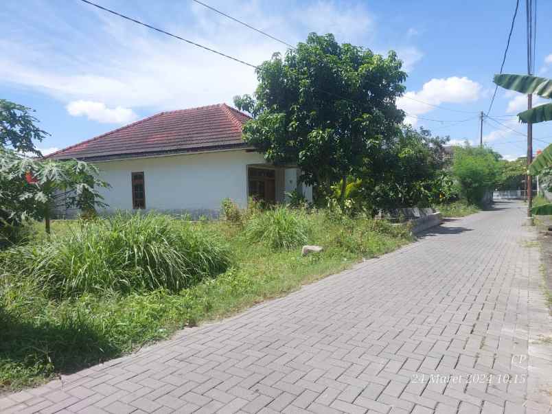 dijual tanah sanggrahan condongcatur