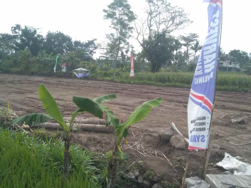 dijual tanah sardonoharjo ngaglik sleman