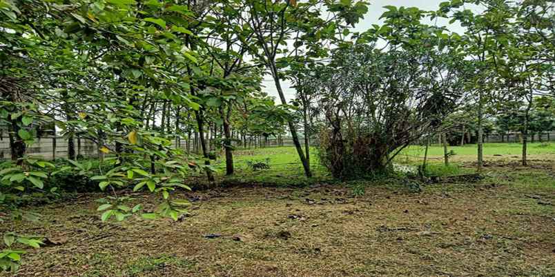 dijual tanah soekarno hatta