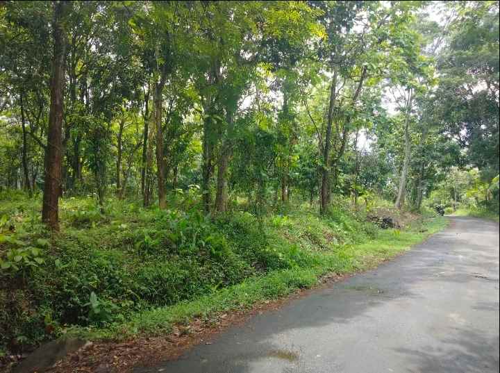 dijual tanah strategis pinggir jalan