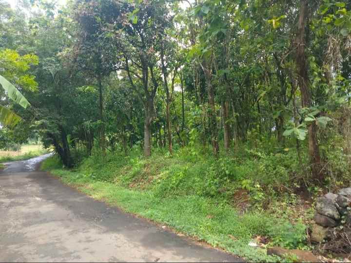 dijual tanah strategis pinggir jalan