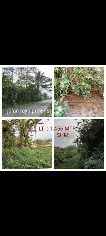 dijual tanah subang