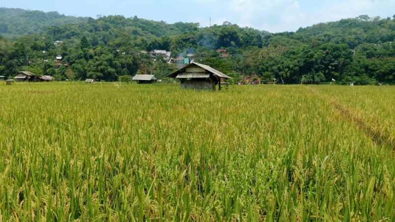 dijual tanah sukamulya