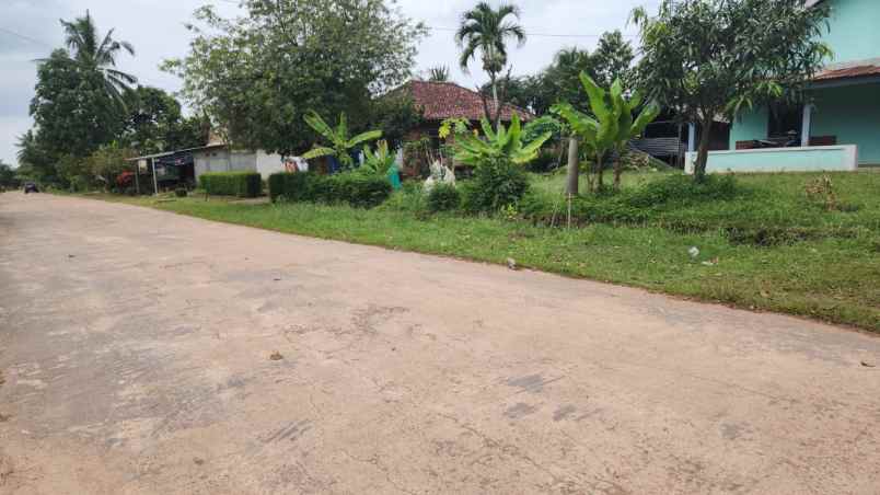 dijual tanah talang betutu