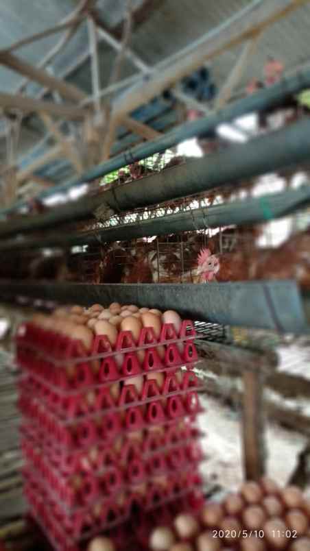 dijual tanah tegal bunder kec