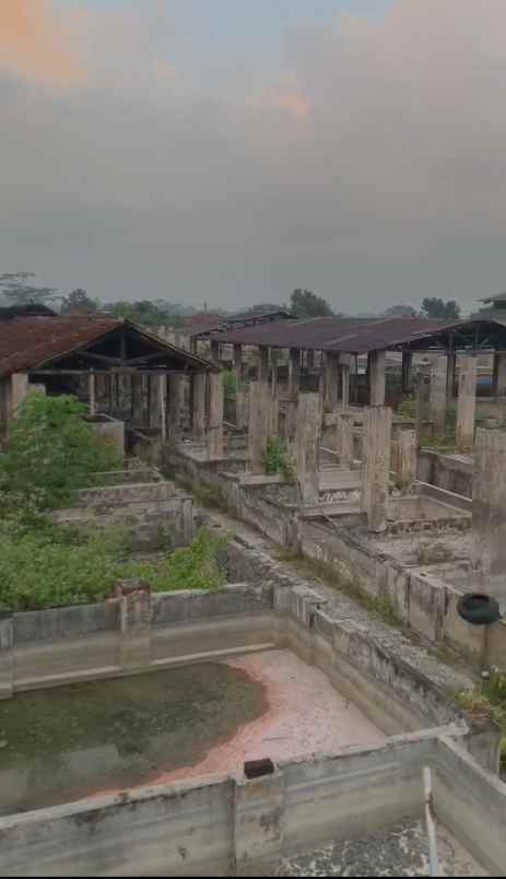 disewakan gudang di trenggalek
