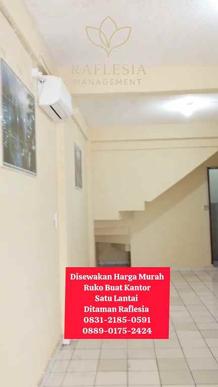 disewakan ruko gudang kantor ruko taman raflesia jl