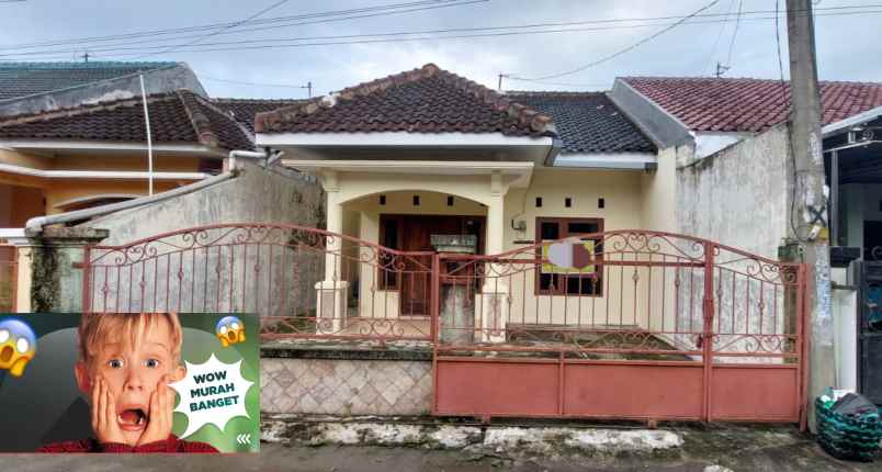 disewakan rumah gedongan