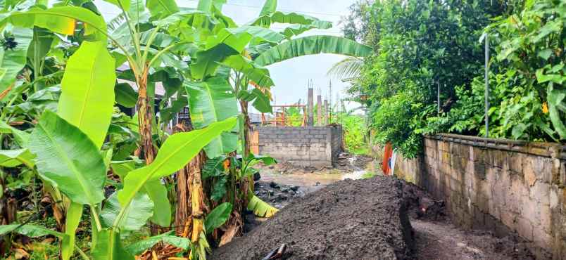 disewakan tanah 1000 m2 kapal mengwi bali
