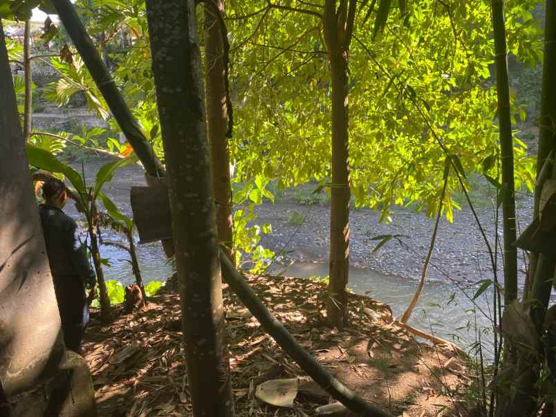 disewakan tanah kesiman kertalangu