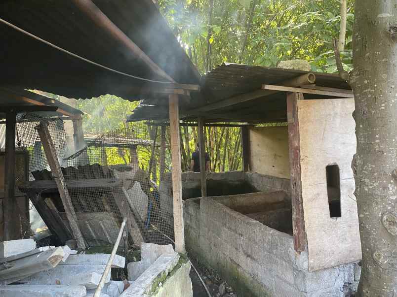 disewakan tanah kesiman kertalangu